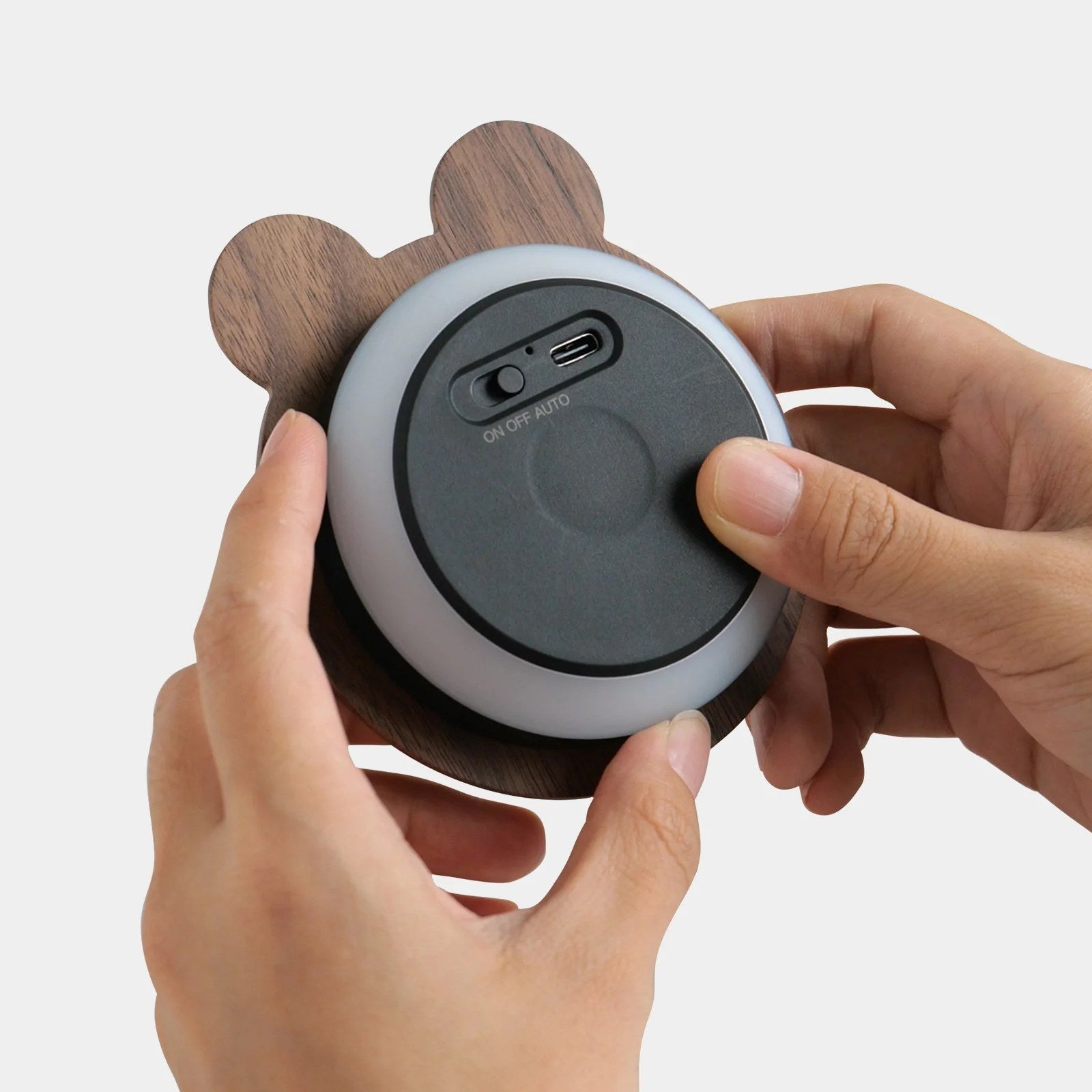 Frog Sensor Night Light