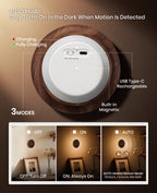Carved Flower Motion Sensor Night Light