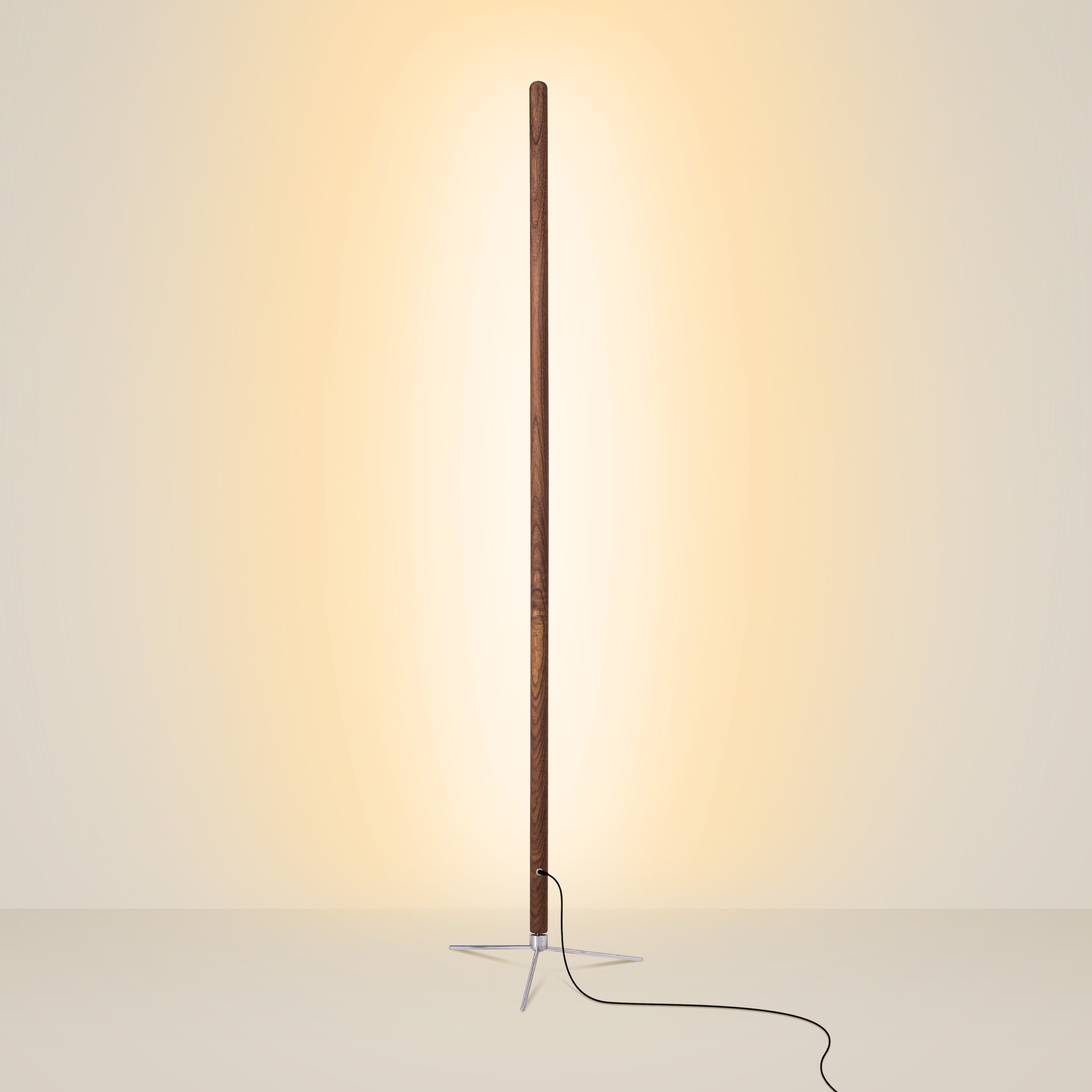Minimalist Wooden Floor Lamp