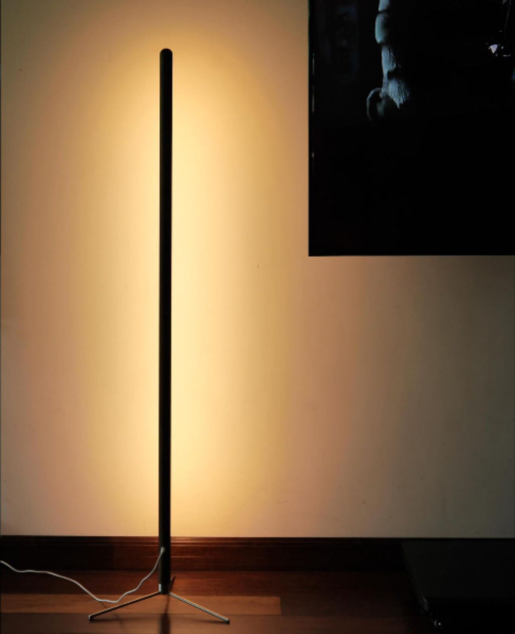 Minimalist Wooden Floor Lamp