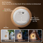 Rounded Flower Motion Sensor Light｜Ash Wood