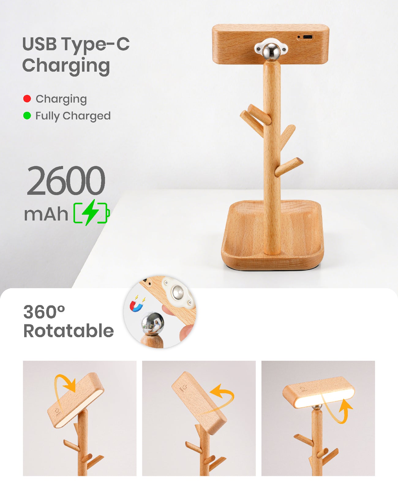 Tree Dock Lamp｜Beech Wood
