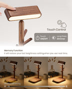 Tree Dock Lamp｜Black Walnut
