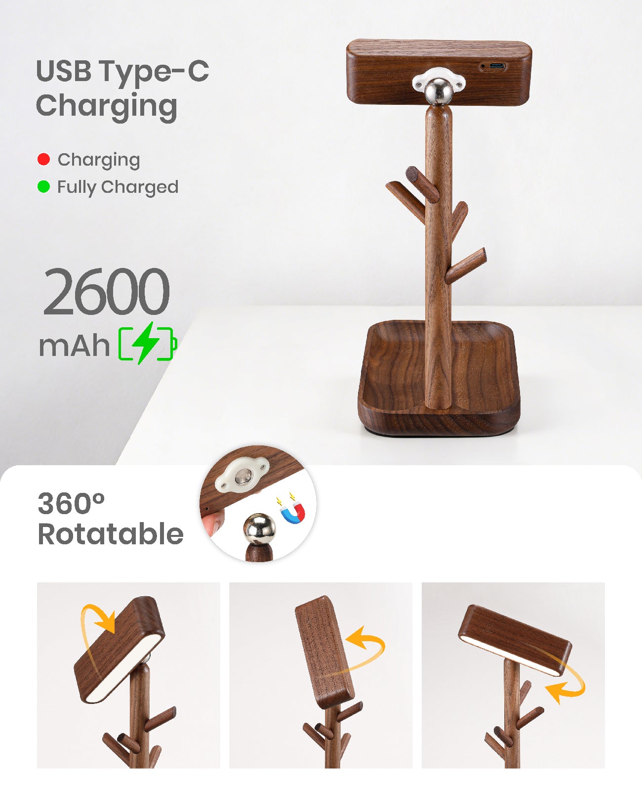 Tree Dock Lamp｜Black Walnut