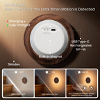 Wood Sensor Night Light ｜ Black Walnut